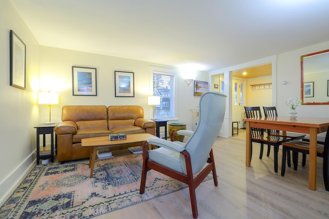 living room featuring light hardwood / wood-style floors