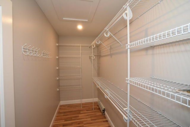 spacious closet with hardwood / wood-style flooring