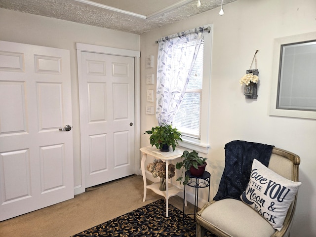 sitting room featuring carpet floors, a textured ceiling, and plenty of natural light