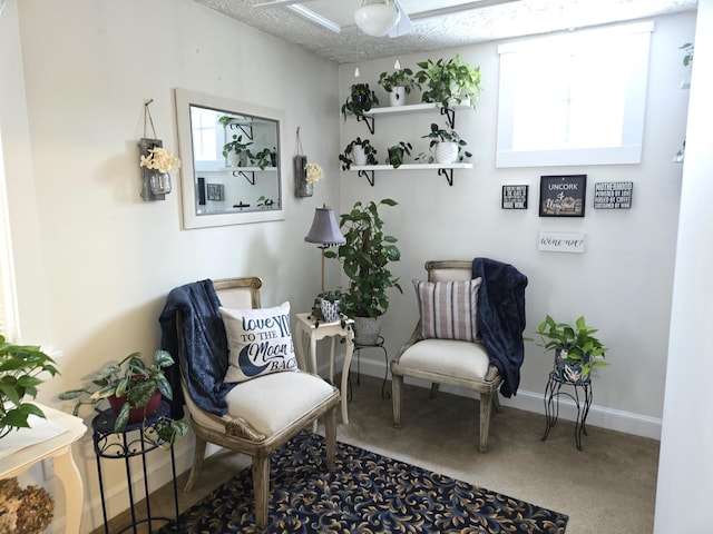 living area with carpet flooring and a textured ceiling