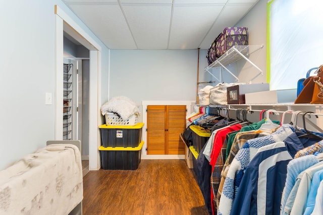 walk in closet featuring dark hardwood / wood-style floors and a drop ceiling