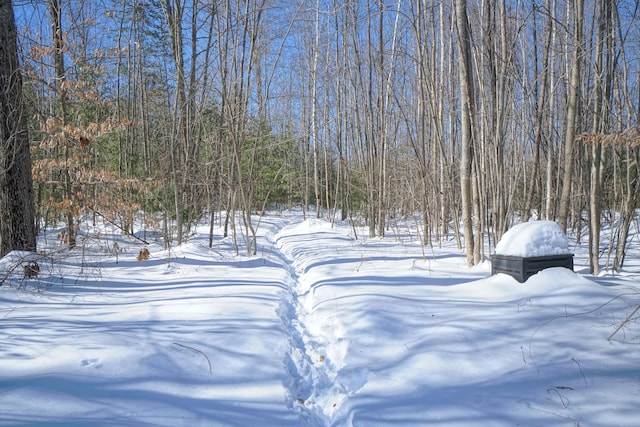 view of yard covered in snow