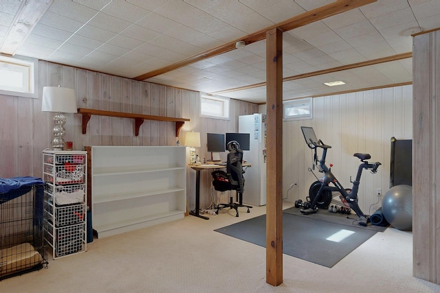 workout area with carpet flooring