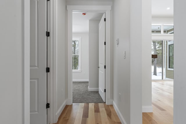 hallway featuring light hardwood / wood-style flooring