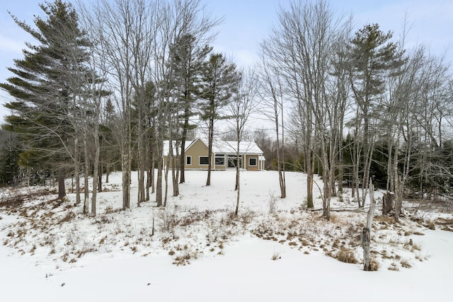 view of snowy yard