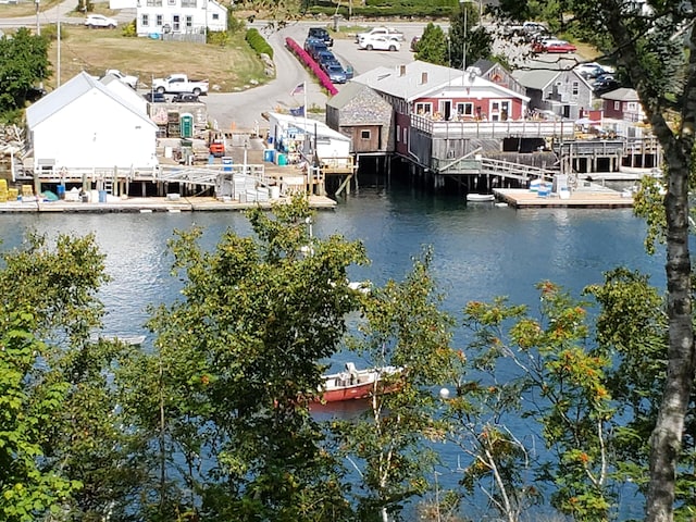 aerial view with a water view