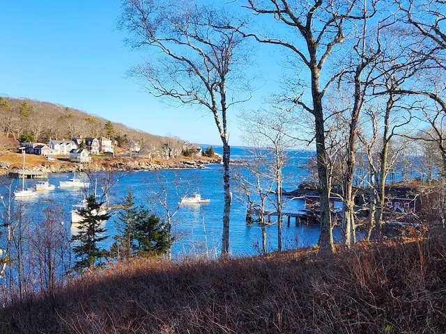 property view of water