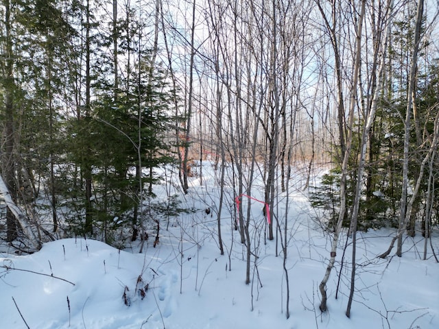 Listing photo 2 for Lot28 Rosewood Haven, Prentiss Twp T7 R3 Nbpp ME 04487