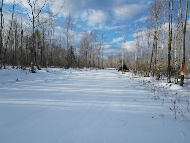 Listing photo 3 for Lot28 Rosewood Haven, Prentiss Twp T7 R3 Nbpp ME 04487