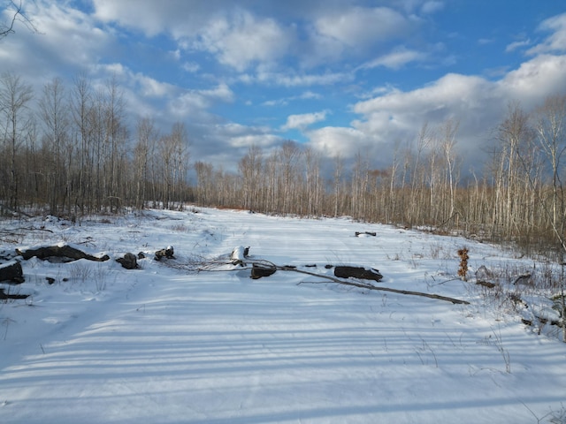 Lot28 Rosewood Haven, Prentiss Twp T7 R3 Nbpp ME, 04487 land for sale