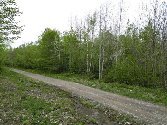 Lot28 Rosewood Haven, Prentiss Twp T7 R3 Nbpp, ME 04487