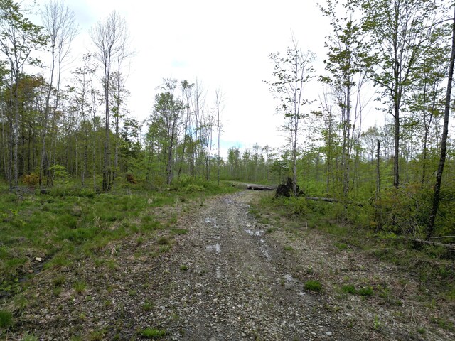 Lot28 Rosewood Haven, Prentiss Twp T7 R3 Nbpp, ME 04487
