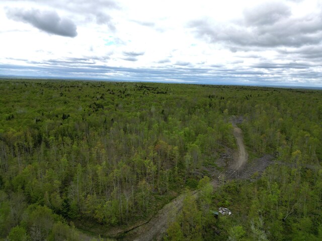 Lot28 Rosewood Haven, Prentiss Twp T7 R3 Nbpp, ME 04487