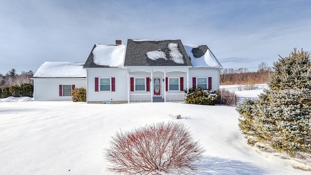 view of cape cod house