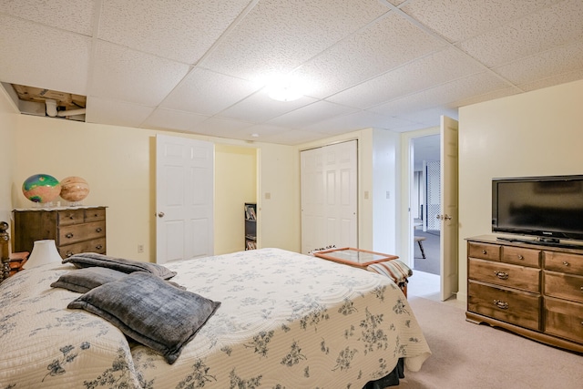 bedroom featuring a drop ceiling, carpet flooring, and a closet