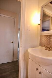 bathroom with vanity and wood-type flooring