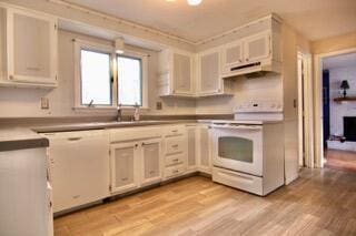 kitchen featuring white cabinetry, white appliances, and light hardwood / wood-style floors