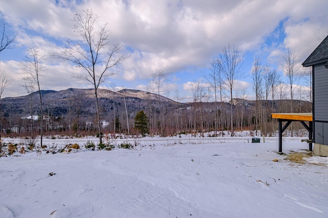 view of mountain feature