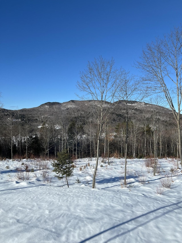 view of mountain feature