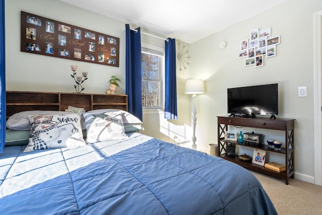 bedroom featuring carpet