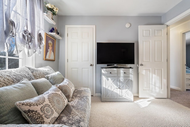 living room featuring light colored carpet