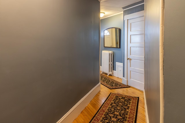 corridor with crown molding, wood-type flooring, and radiator