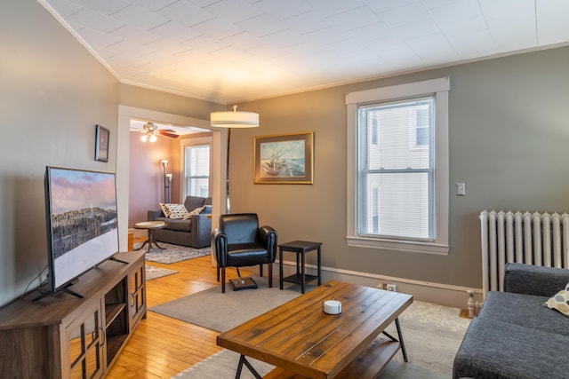 living room featuring ornamental molding, radiator, light hardwood / wood-style flooring, and a wealth of natural light