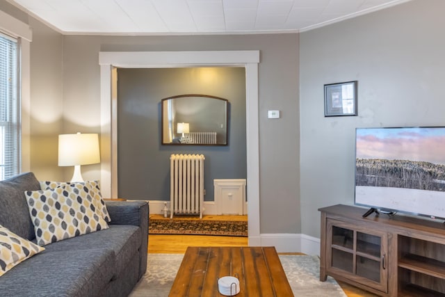 living room with hardwood / wood-style flooring and radiator