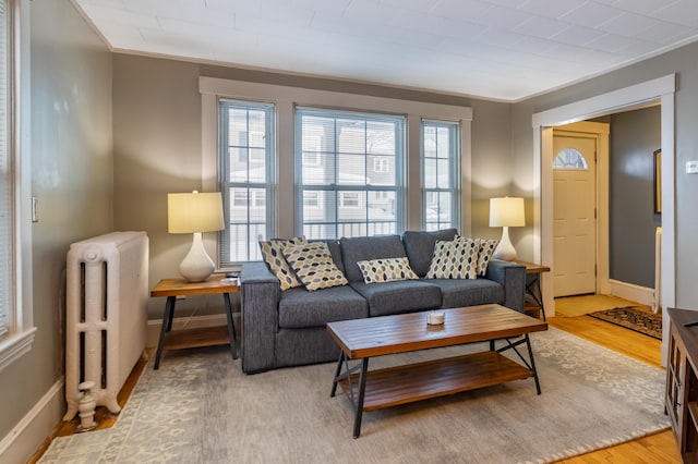 living room with crown molding, radiator heating unit, and light wood-type flooring