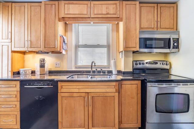 kitchen featuring stainless steel appliances and sink