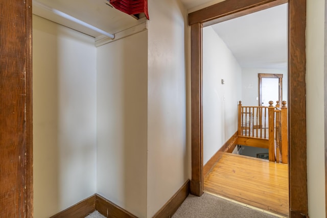 hallway with carpet