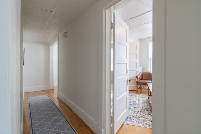 hall with a paneled ceiling and light hardwood / wood-style flooring