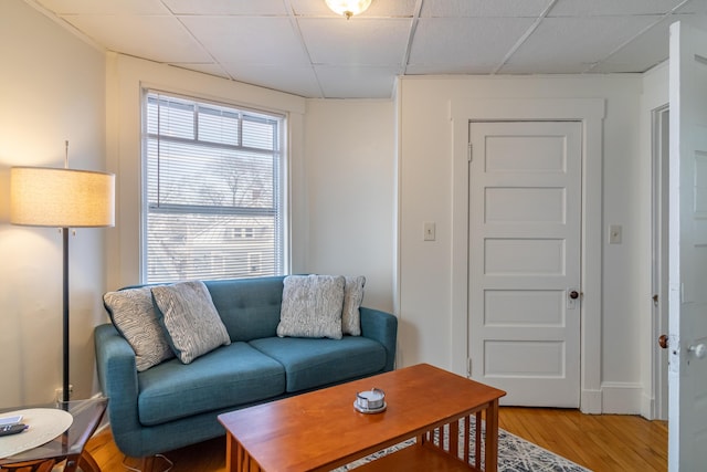 living room featuring a paneled ceiling and hardwood / wood-style floors