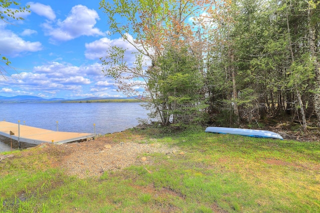 property view of water with a dock and a mountain view