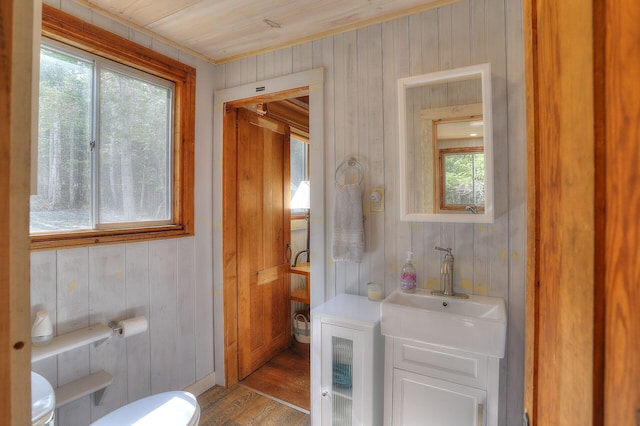 half bathroom featuring plenty of natural light, vanity, and wood finished floors