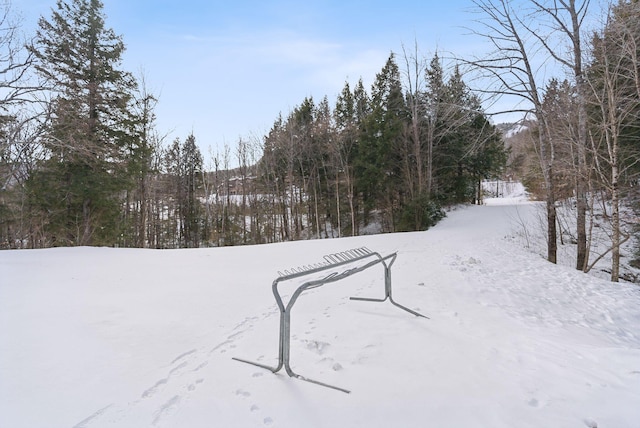 view of yard layered in snow