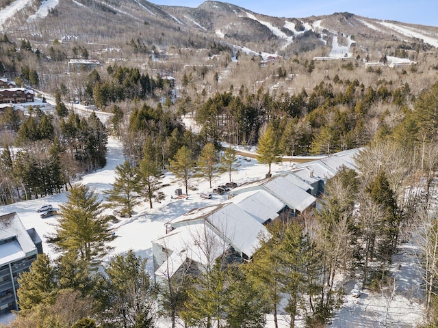 snowy aerial view with a mountain view