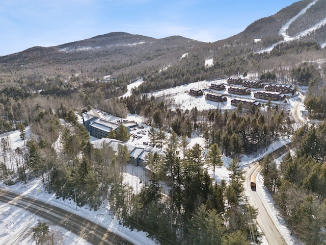 snowy aerial view featuring a mountain view