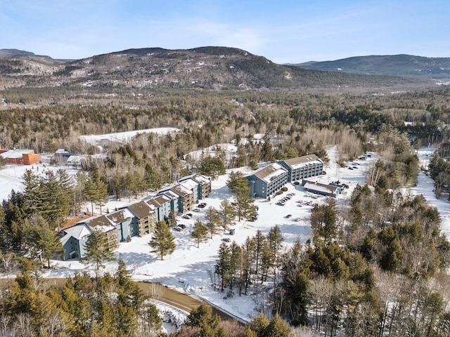 snowy aerial view featuring a mountain view