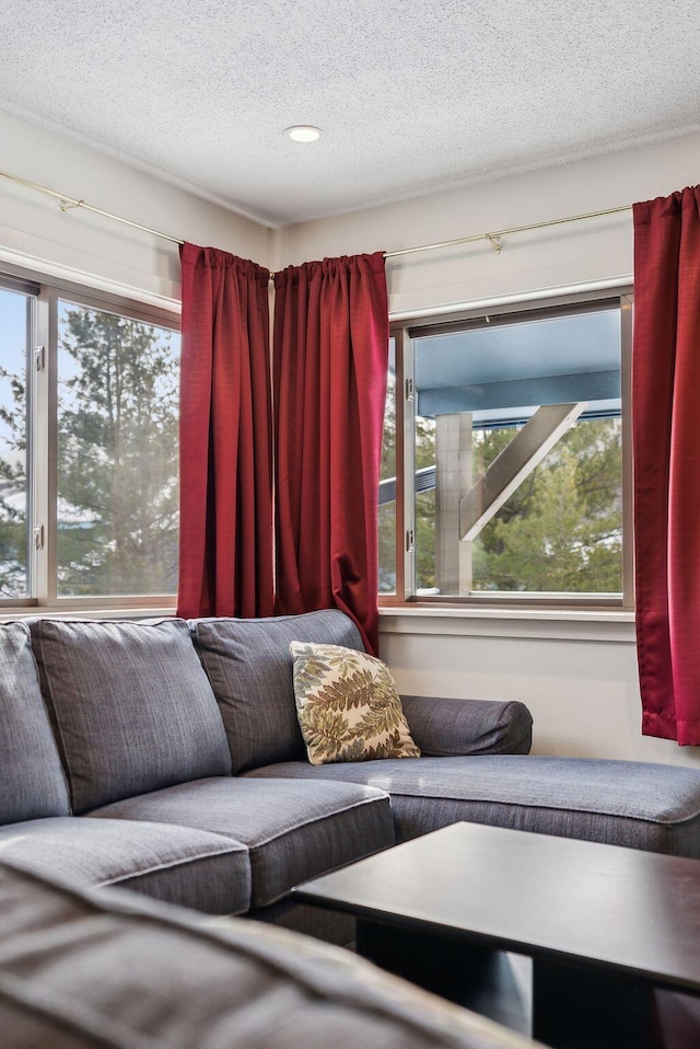 living room with a textured ceiling