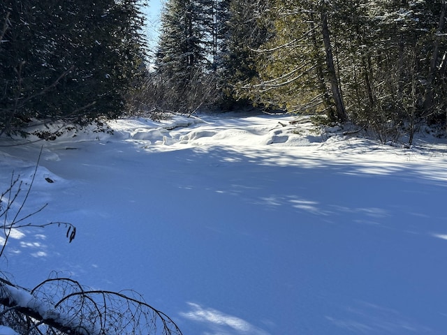 0 Wilcox Rd, Cary Plt, ME 04730 - photo 13