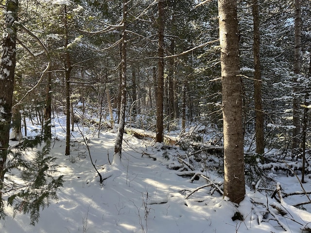 0 Wilcox Rd, Cary Plt, ME 04730 - photo 14