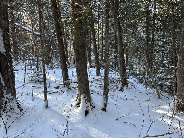 0 Wilcox Rd, Cary Plt, ME 04730 - photo 15