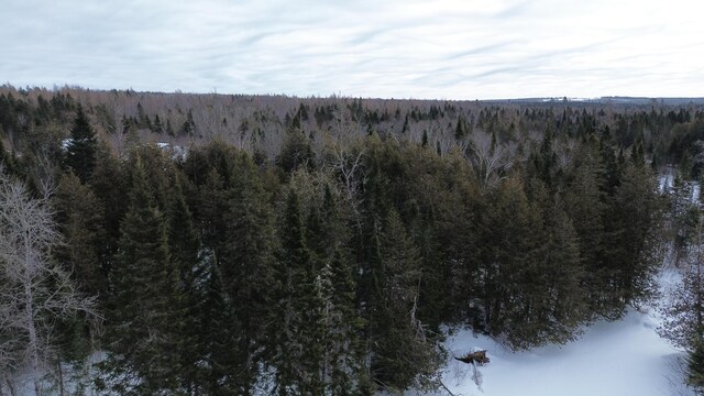 0 Wilcox Rd, Cary Plt, ME 04730 - photo 7