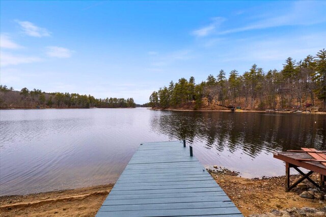 48 Green Bay Rd, Newfield, ME 04095 - dock featuring a water view and a forest view