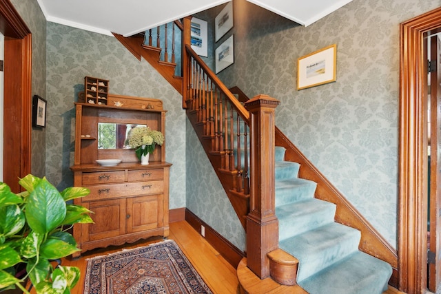 stairway with hardwood / wood-style flooring