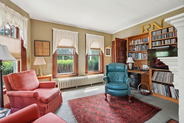 sitting room featuring ornamental molding, radiator, and carpet floors