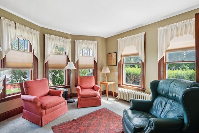 living area featuring carpet floors and radiator heating unit