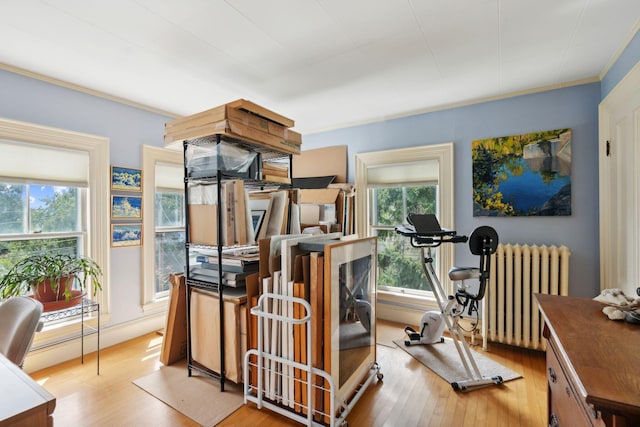 exercise room with radiator, light hardwood / wood-style flooring, and a healthy amount of sunlight