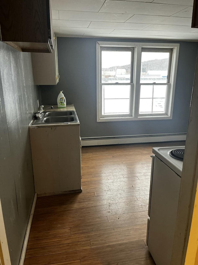 kitchen with dark hardwood / wood-style floors, white electric range oven, sink, and dark brown cabinets